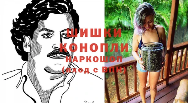 spice Алексеевка
