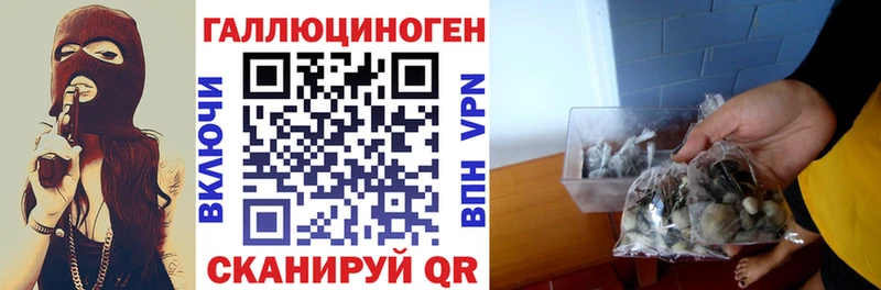Псилоцибиновые грибы MAGIC MUSHROOMS  цены   Югорск 
