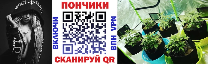 Бошки марихуана гибрид  гидра вход  Югорск 